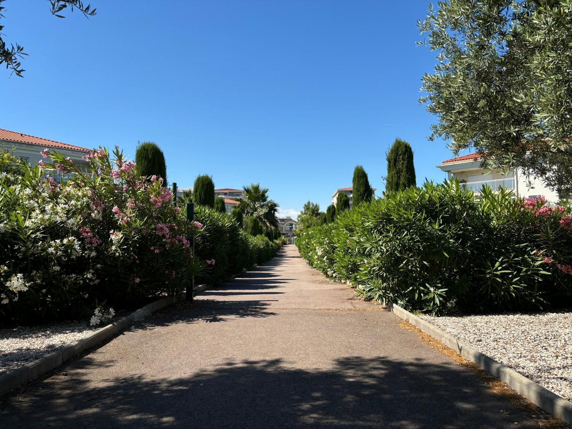 Beachside Apartment With Pool & Garden In Juan Les Pins Antibes Bagian luar foto