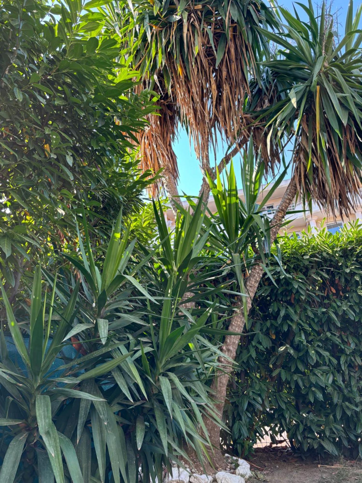Beachside Apartment With Pool & Garden In Juan Les Pins Antibes Bagian luar foto