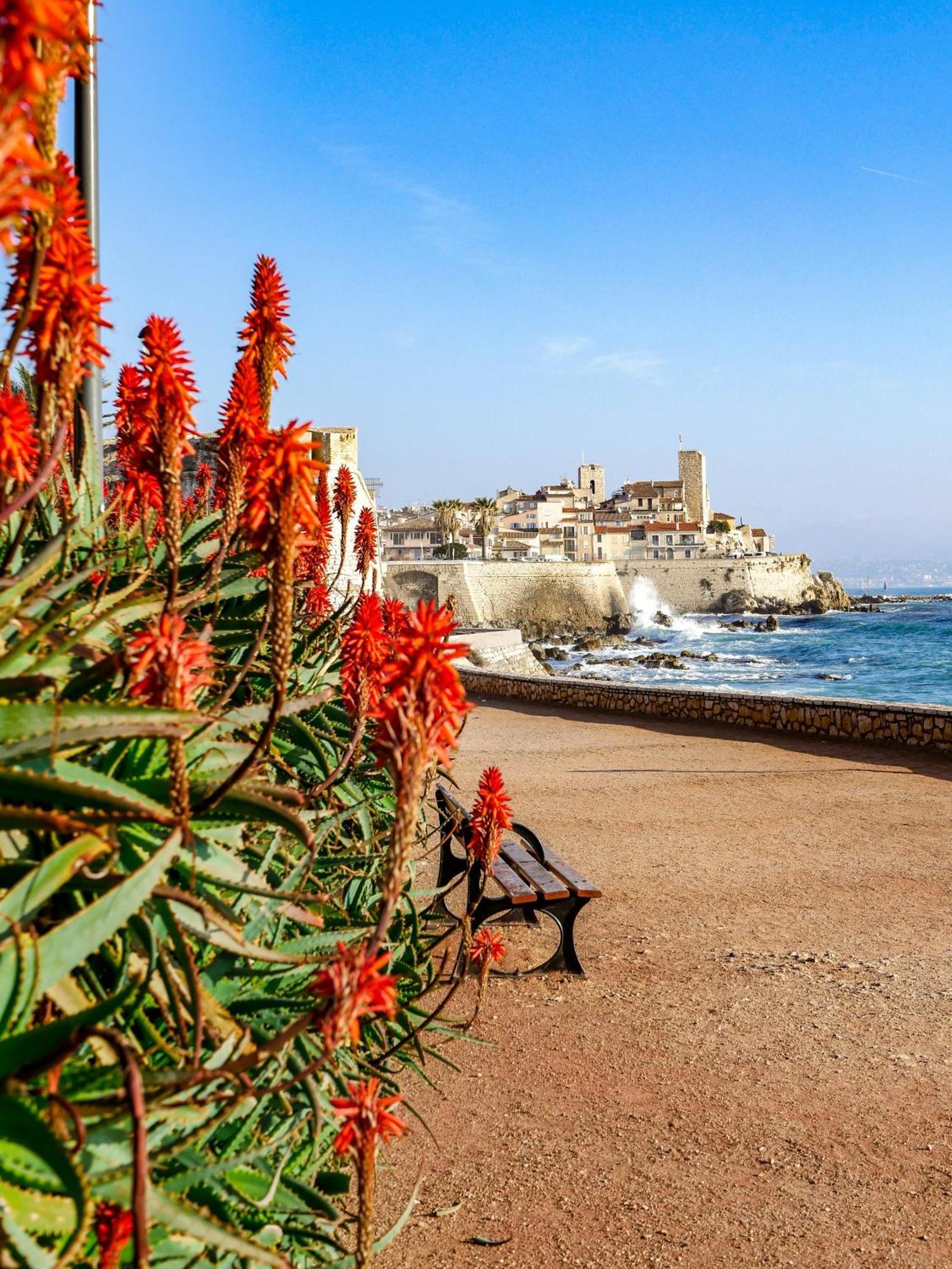 Beachside Apartment With Pool & Garden In Juan Les Pins Antibes Bagian luar foto